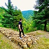 alifellah_90537