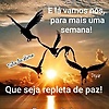 santos_30671