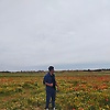 mohamedami_36025