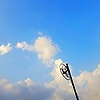 amm_15