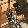 0SharonNelson_1111