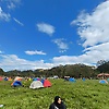 Flo_10084