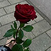 maryy_35483