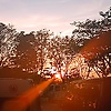 tkachev_34808