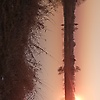 julia_36917
