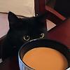 mary_84517