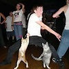 DancesWithCats