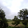 maryland_83176
