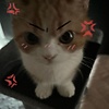 KittyQwQ