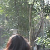 liumei2003
