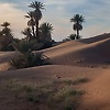 Imaddesert2