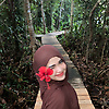park_62575