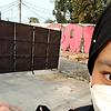 wull_73627