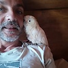 diepsteblou