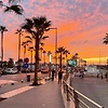 zaki_20244