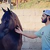 adam_39842