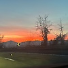 michele_38884