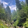 aigul_10320