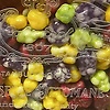 vusal_12586
