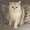 mike_52921