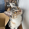 user_511849