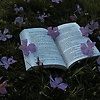 laiba_90988