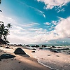 ahmed_81158