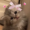 souad_58847