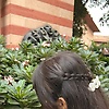 cupcake_69056
