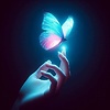 mdalaminis_39492