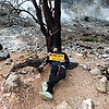 muhammadpu_48268