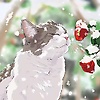 Suse_Xu