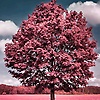 rushi_21183