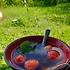 marina_86400