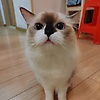 Skyguo