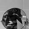 isabel_86252