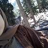 wissal_7777