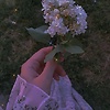 Nourhane-n