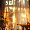 hanan_56924