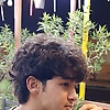 mexi_42459