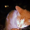 elara_40957