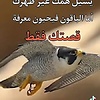 user_52221