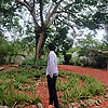 louie_20425