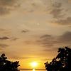 nhu_19031