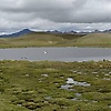 grc_28689