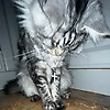 tony_16824