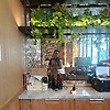 abdul_57104