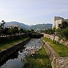 tos_10765