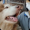 user_12509