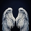 osama_80888